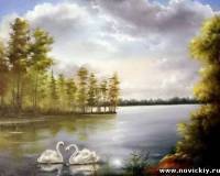 Лебеди на большом лесном озере