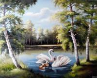 Лебеди на пруду со своими детьми